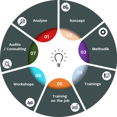 A circular diagram with seven segments, each labeled with steps from Analyse, NX Consulting, NX Training, NX Methods, NX Workshops, NX Training on the job to Audits/Consulting, centered around a light bulb icon.